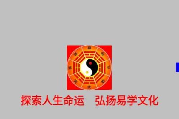 新派八字排盘软件下载