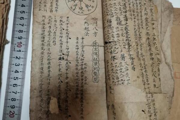 零基础学习快速算命