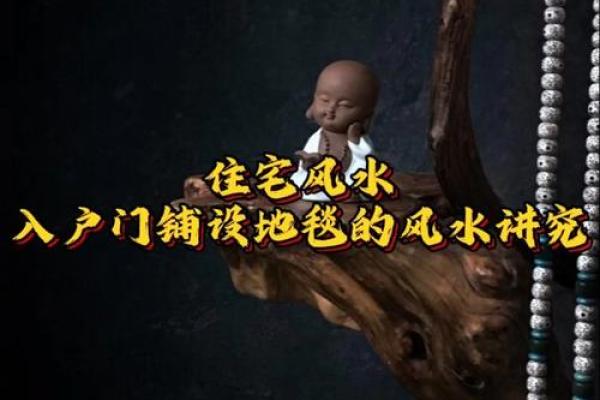 玄关铺设地毯有什么风水讲究