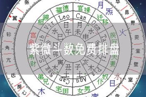 七政四余紫薇斗数