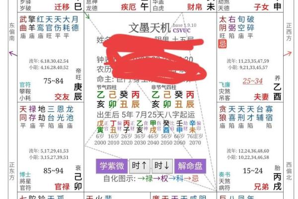 紫薇斗数详细批