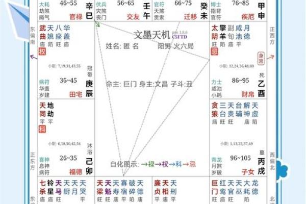 紫薇斗数解密pdf