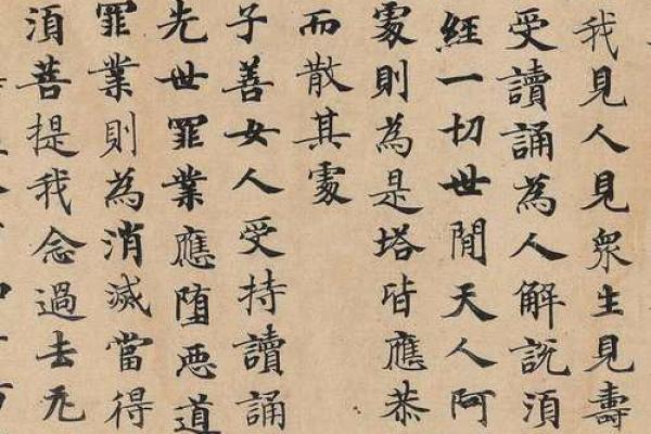 武则的八字