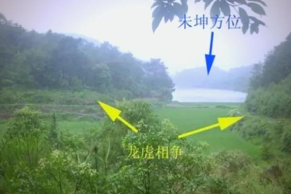 先人的影响，可当官的祖坟风水
