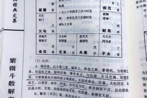 适合学紫薇斗数