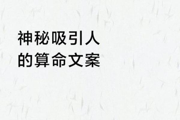 引导人学算命