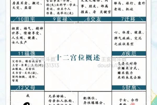 紫薇斗数算命准不准