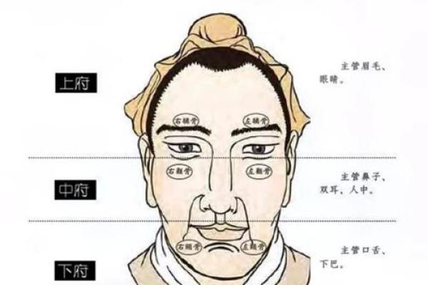 男人八字眉命运如何