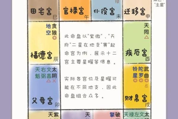紫薇斗数全集
