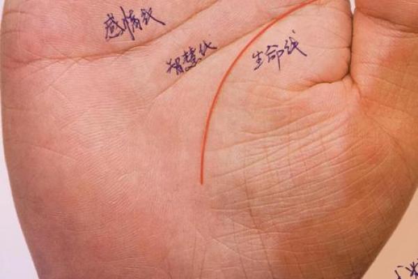 风水生命线分叉代表什么好不好