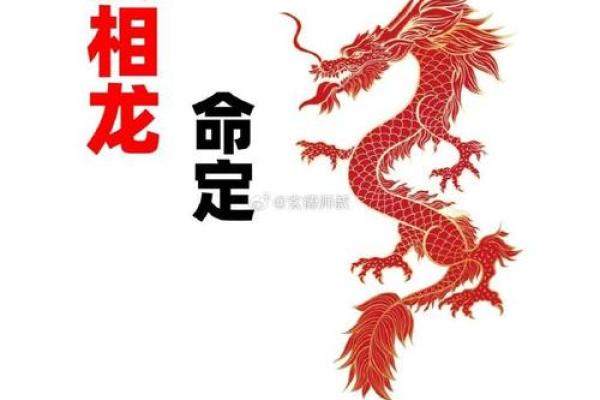 八字双龙