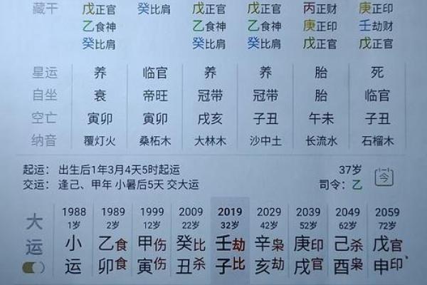 八字身从强