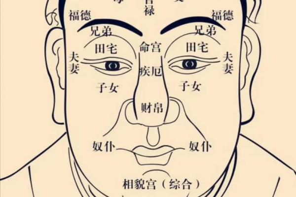 紫薇斗数排宫