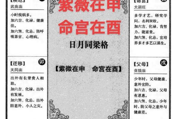 紫薇斗数科在命宫