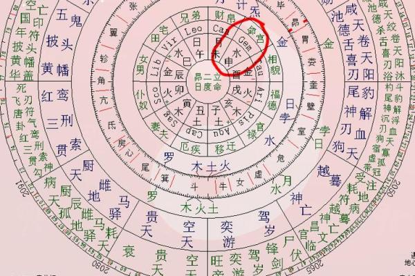 紫薇斗数科在命宫