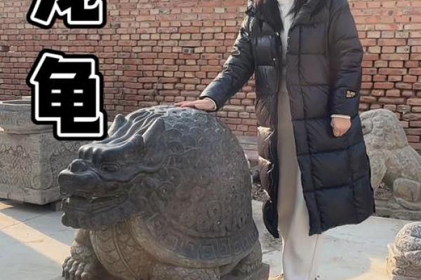 风水摆件龙龟的解释与作用