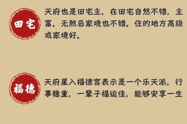 紫薇斗数不发富