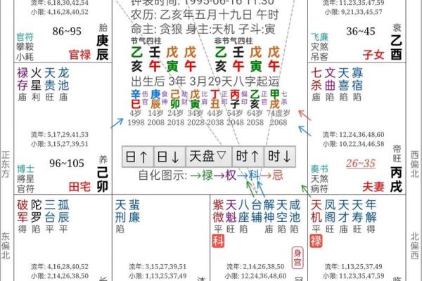 紫薇斗数绝胎养