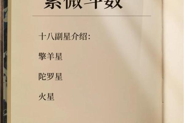 紫微斗数之廉贞星双星组合实战