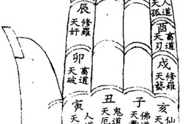华盖星紫薇斗数