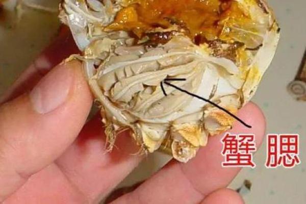 螃蟹地风水形了解这种风水形带来的影响及解决方法