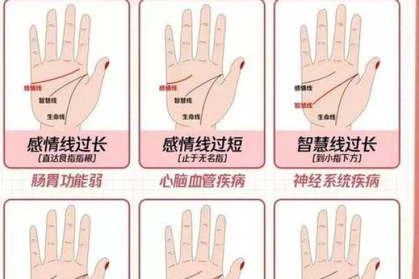 如何看掌纹线算命女性 智慧线长度适中进取心强