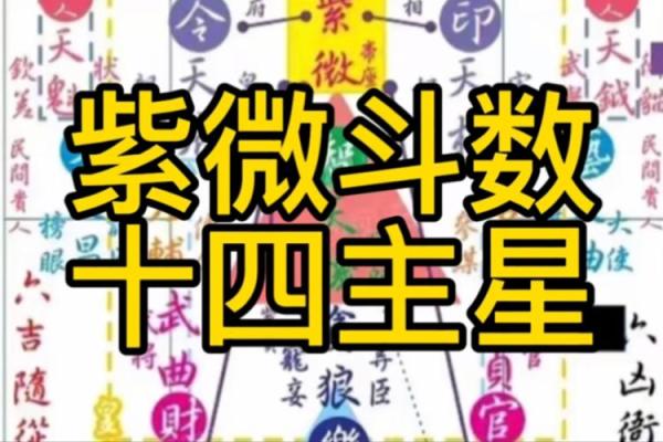 天厨星紫薇斗数