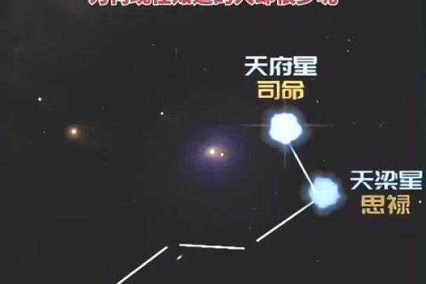 紫薇星是南斗还是北斗
