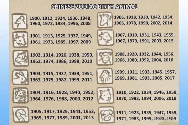 八字软：属相、性格特点、缺点分析及改善方法