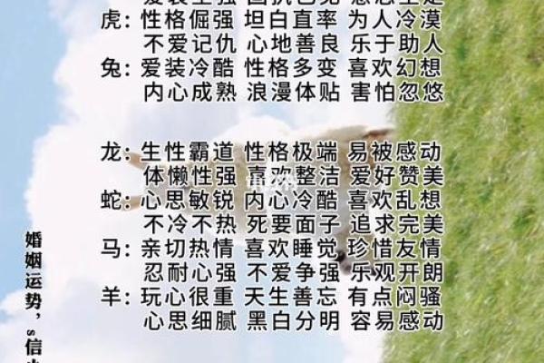 八字软：属相、性格特点、缺点分析及改善方法