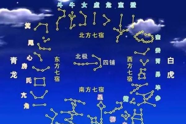 紫薇斗数流年命盘