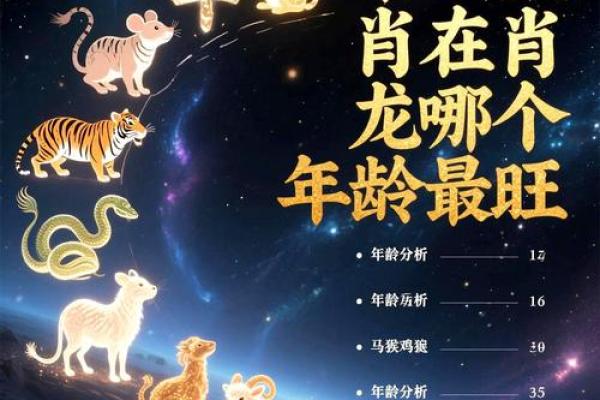 风水12生肖寿命最长的是什么动物是它吗