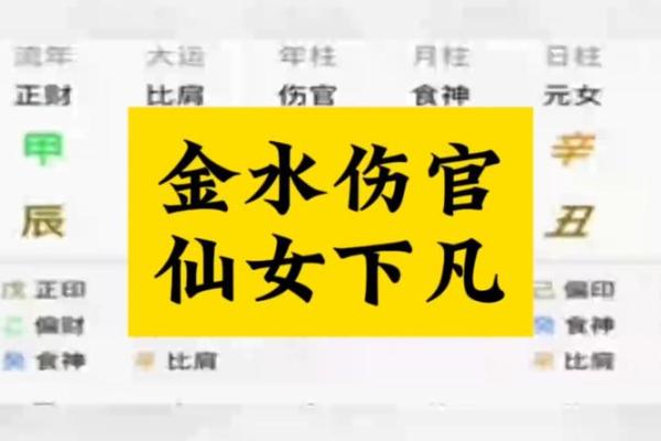 金水伤官八字