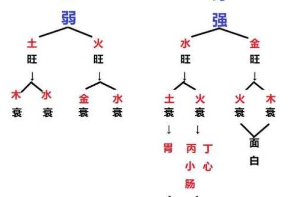 八字看疾病，八字看疾病解读
