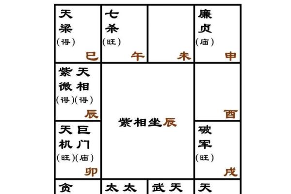 紫薇斗数紫薇星怎么定