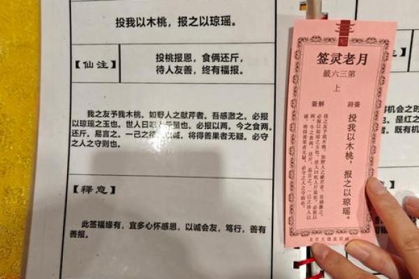 玄武大帝灵签解签29