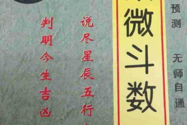 19年紫薇斗数