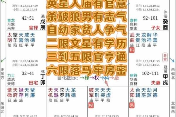 紫微斗数杀破狼 紫微斗数？