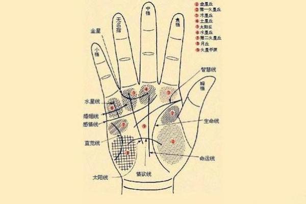 凯帝阿手相算命图解大全06