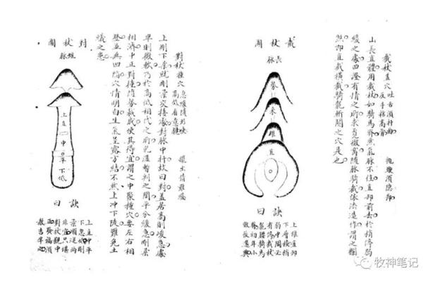 风水学中的“截杖”指的是什么