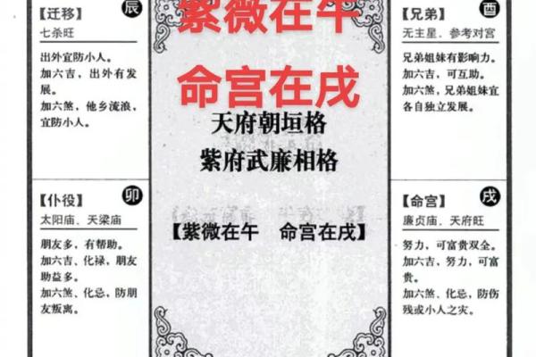 紫薇斗数工作