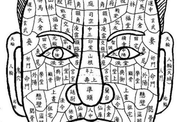 相面算命影视剧在线观看