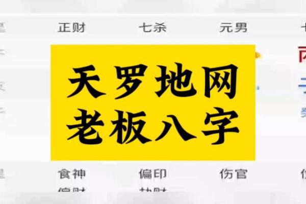 领导八字
