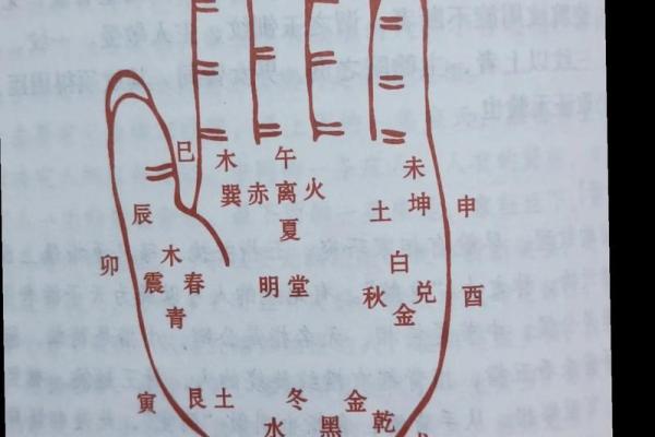 手纹线看相 手纹看相算命图解