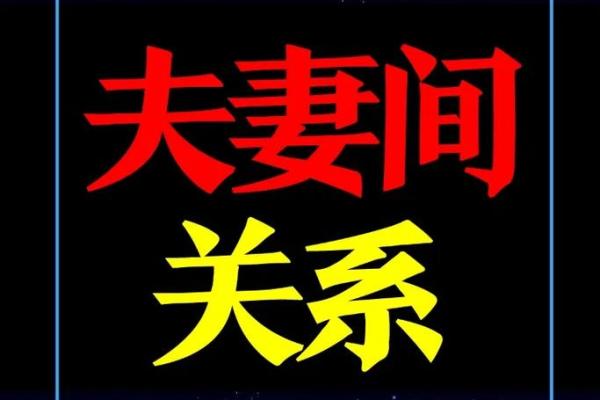 紫微斗数看会拥有美好婚姻的人