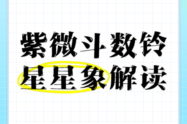中国传统星象术紫薇斗数
