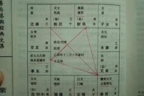 紫薇斗数主星性质：廉贞，天府，贪狼，巨门