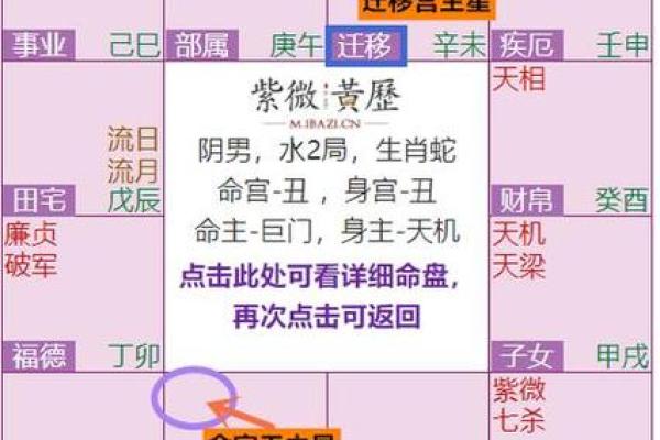 紫薇斗数主星性质：廉贞，天府，贪狼，巨门