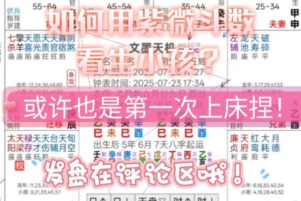 紫薇斗数怀孕生子年份