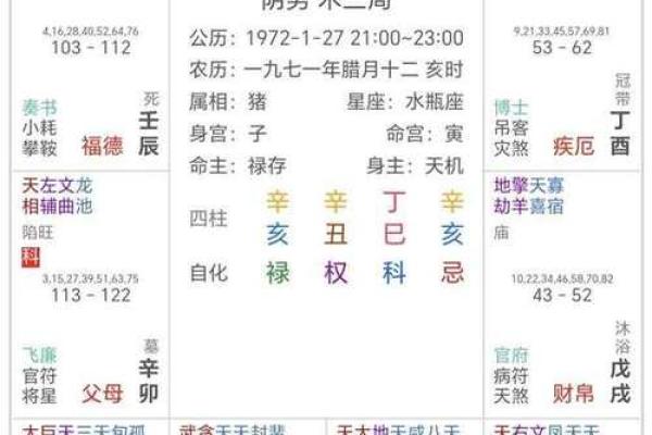 紫薇斗数详细测试